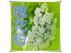 槐花粉 纯天然全水溶 药食同源 实力厂家生产 现货直销