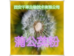 蒲公英粉 纯天然全水溶 药食同源 实力厂家生产 现货直销