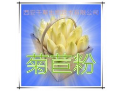 菊苣提取物 纯天然全水溶 药食同源 西安千草现货专供