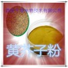 黄芥子提取物 纯天然全水溶 药食同源 西安千草现货专供