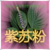 紫苏提取物 纯天然全水溶 药食同源 西安千草现货专供