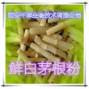 鲜白茅根粉 纯天然全水溶 药食同源 实力厂家生产 现货直销