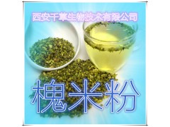 槐米提取物 纯天然全水溶 药食同源 西安千草现货专供