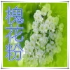 槐花提取物 纯天然全水溶 药食同源 西安千草现货专供