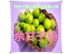 余甘子粉 纯天然全水溶 药食同源 实力厂家生产 现货直销