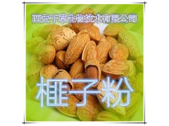 榧子提取物 纯天然全水溶 药食同源 西安千草现货专供