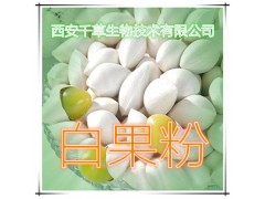 白果粉 纯天然全水溶 药食同源 实力厂家生产 现货直销