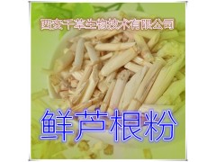 鲜芦根提取物 纯天然全水溶 药食同源 西安千草现货专供