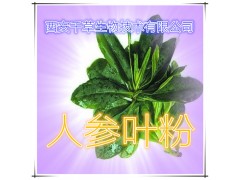人参叶提取物 国家规定保健品添加 纯植物提取 厂家专供