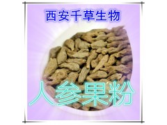 人参果提取物 国家规定保健品添加 纯植物提取 厂家专供