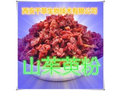 山茱萸提取物 国家规定保健品添加 纯植物提取 厂家专供