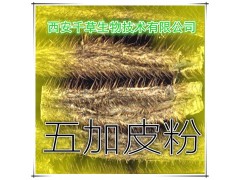 五加皮提取物 国家规定保健品添加 纯植物提取 厂家专供