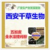 五加皮提取物 国家规定保健品添加 纯天然提取 厂家生产