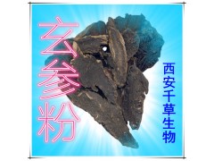 玄参提取物 国家规定保健品添加 纯植物提取 厂家专供