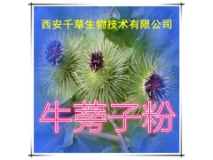 牛蒡子提取物 国家规定保健品添加 纯天然提取 厂家生产