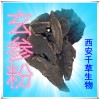 玄参提取物 国家规定保健品添加 纯天然提取 厂家生产