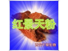 红景天提取物 国家规定保健品添加 纯植物提取 厂家专供