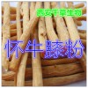怀牛膝提取物 国家规定保健品添加 纯天然提取 厂家生产