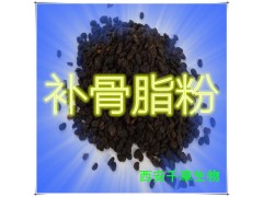 补骨脂提取物 国家规定保健品添加 纯植物提取 厂家专供
