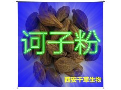 诃子提取物 国家规定保健品添加 纯植物提取 厂家专供
