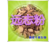 远志提取物 国家规定保健品添加 纯植物提取 厂家专供