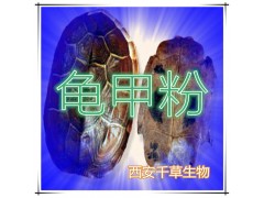 龟甲提取物 国家规定保健品添加 纯天然提取 厂家生产