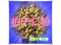 柏子仁提取物 国家规定保健品添加 纯植物提取 厂家专供