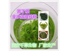 苦丁茶提取物 国家规定保健品添加 纯天然提取 厂家生产