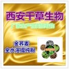 金荞麦提取物 国家规定保健品添加 纯天然提取 厂家生产