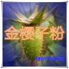 金樱子提取物 国家规定保健品添加 纯天然提取 厂家生产