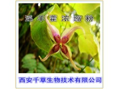 淫羊藿提取物 国家规定保健品添加 纯植物提取 厂家专供