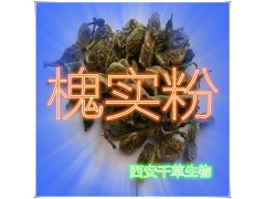 槐实提取物 国家规定保健品添加 纯植物提取 厂家专供