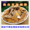 桑白皮提取物 国家规定保健品添加 纯天然提取 厂家生产