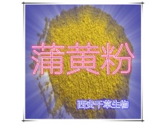 蒲黄提取物 国家规定保健品添加 纯植物提取 厂家专供