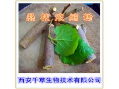 桑枝提取物 国家规定保健品添加 纯天然提取 厂家生产