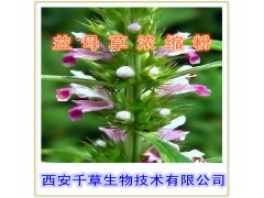 益母草提取物 国家规定保健品添加 纯天然提取 厂家生产