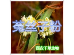 菟丝子提取物 国家规定保健品添加 纯天然提取 厂家生产
