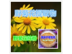 野菊花提取物 国家规定保健品添加 纯天然提取 厂家生产
