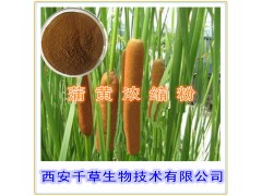 蒲黄提取物 国家规定保健品添加 纯天然提取 厂家生产