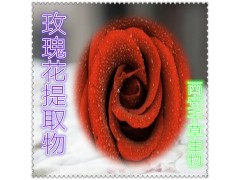 玫瑰花提取物  药食同源 西安千草现货专供