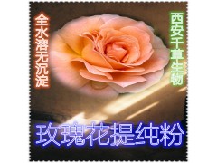 玫瑰花浓缩粉  药食同源 西安千草现货专供
