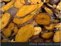 Giant Knotweed Extract