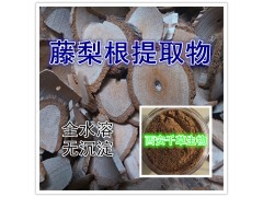 藤梨根提取物  厂家现货直发