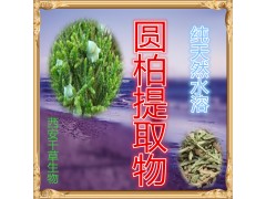 圆柏提取物 厂家直发