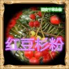 红豆杉提取物 厂家直发