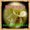 芙蓉花提取物 厂家直发
