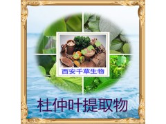 杜仲叶提取物 厂家直发