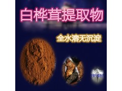 白桦茸提取物 厂家直发