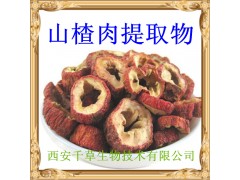 山楂提取物 厂家直发