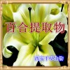 百合提取物 厂家生产